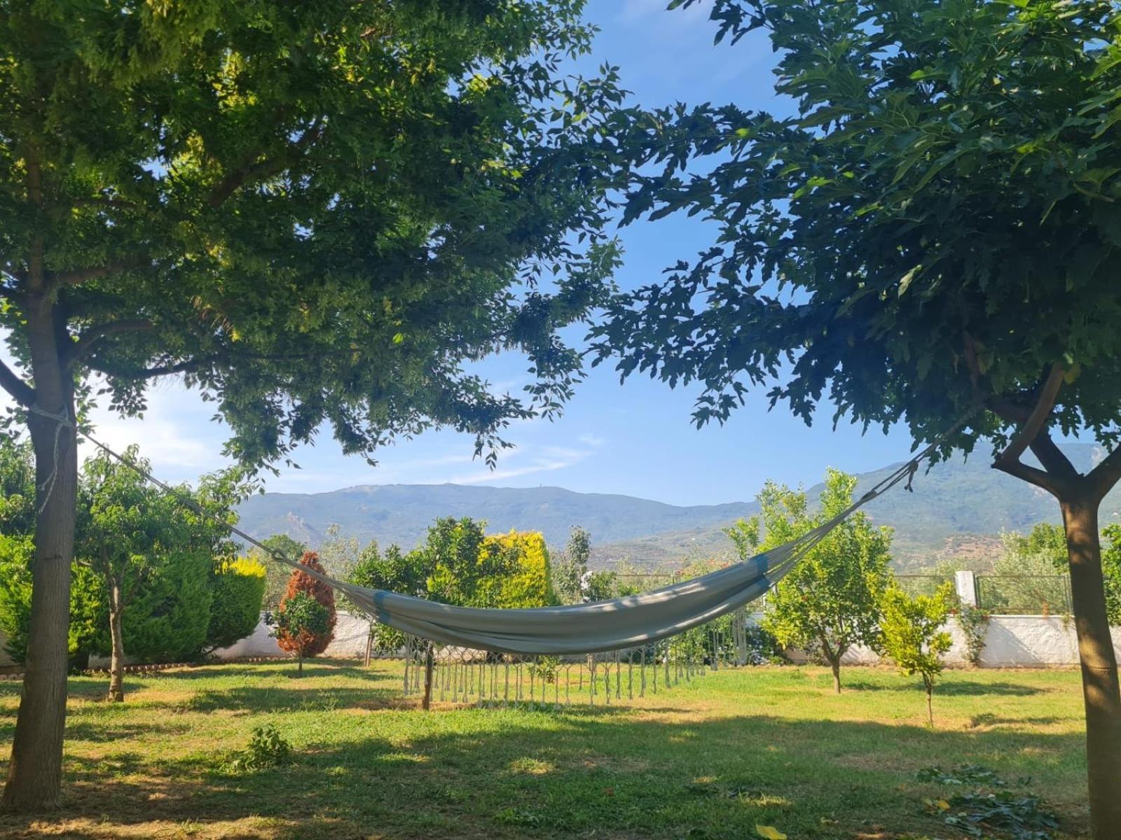 Ktima Nostos * Volos